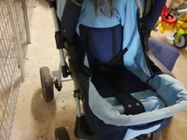 Kinderwagen - 1